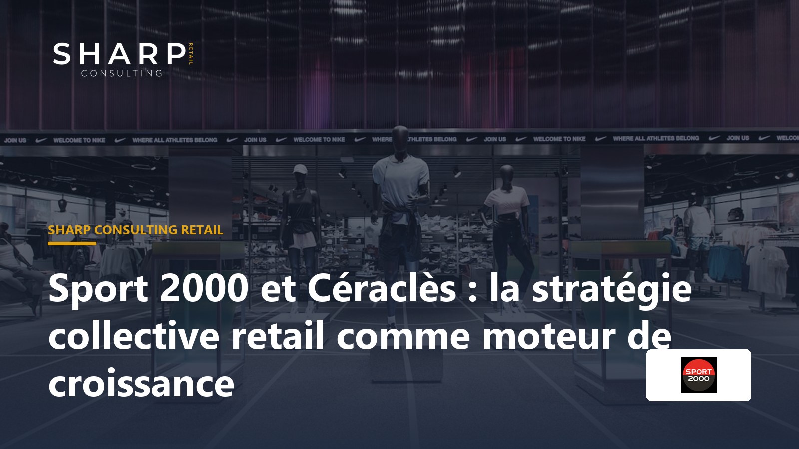 Stratégie collective, entrepreneurs indépendants, développement de réseau de magasins de détail moderne.