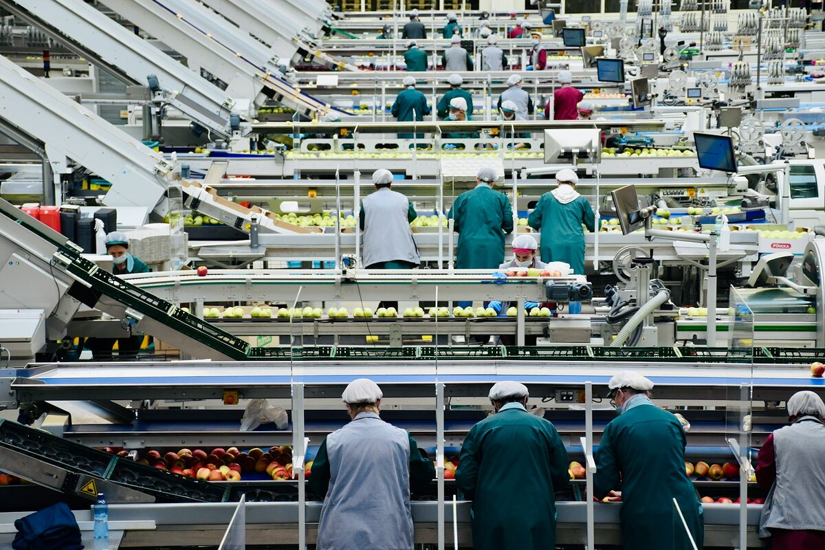 Ligne de production agroalimentaire — jumeau numérique industriel